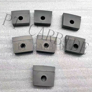 SSIC Silicon Carbide Centrifuges Tiles 